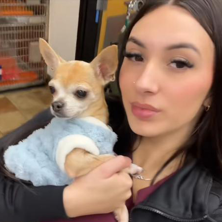 TikTok網(wǎng)紅推廣:美國寵物護(hù)理達(dá)人博主推薦