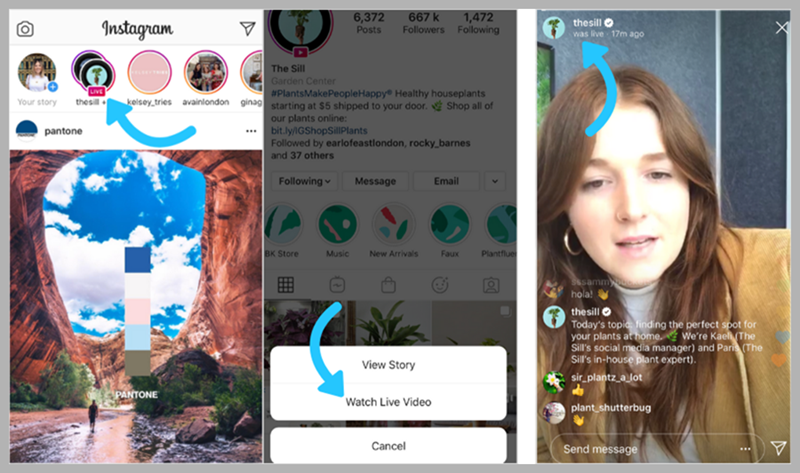 如何快速提升店鋪GMV？這套社媒營(yíng)銷(xiāo)法則適合所有人