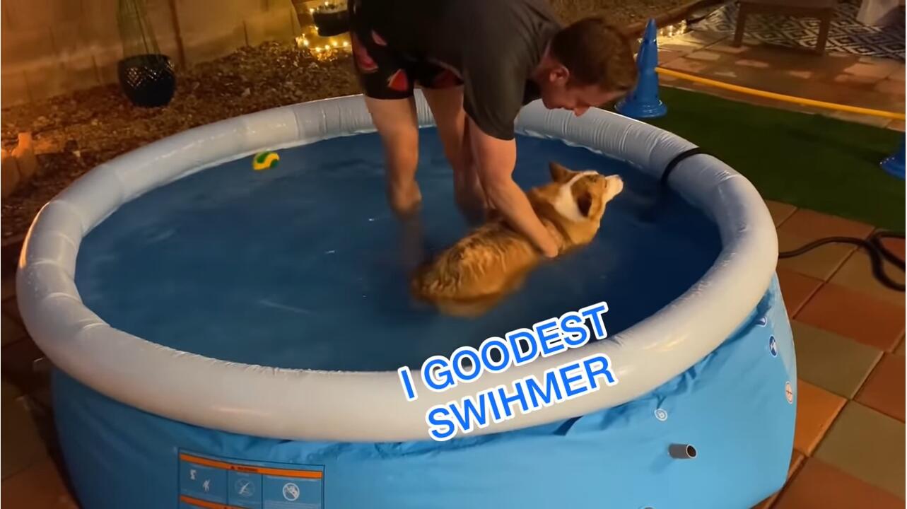 YouTube紅人數(shù)據(jù)