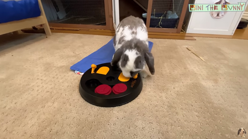 海外網(wǎng)紅數(shù)據(jù)