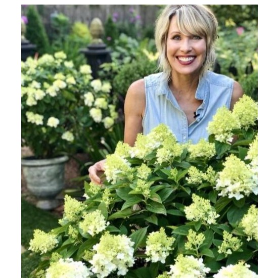 海外紅人推廣對(duì)出海品牌有多大作用？（出海品牌能靠紅人推廣爆紅嗎？）