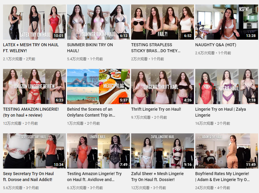 日本YouTube紅人頻道內(nèi)容