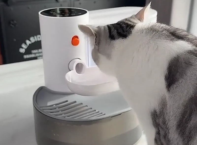 2025年海外寵物經(jīng)濟持續(xù)火爆，寵物用品出海大有可為