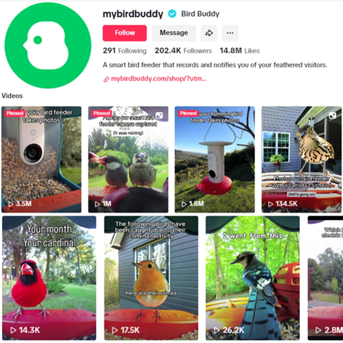 海外觀鳥經(jīng)濟(jì)爆發(fā)！智能喂鳥器撬動千億市場