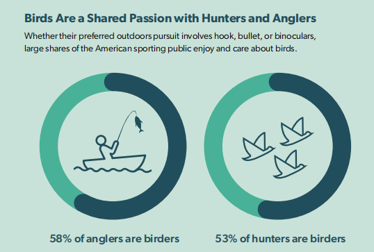 海外觀鳥經(jīng)濟(jì)爆發(fā)！智能喂鳥器撬動千億市場