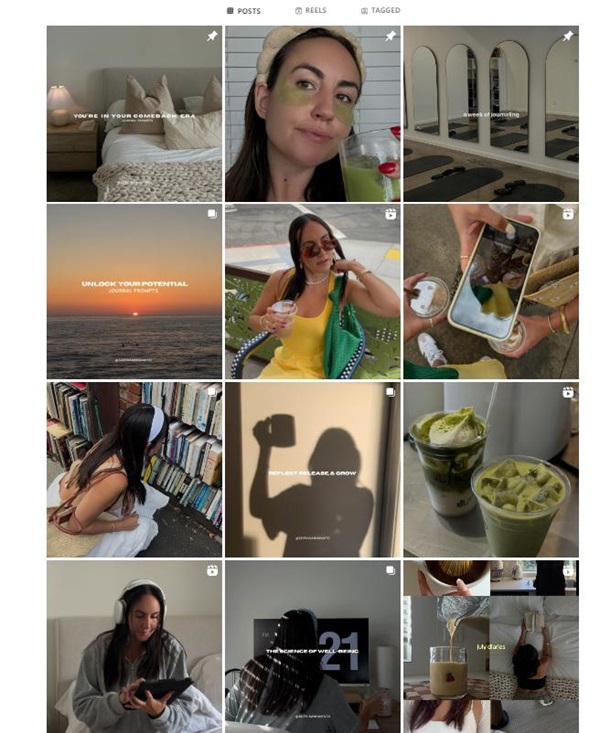 美國Instagram生活家用電器品牌出海博主達(dá)人推廣頻道內(nèi)容