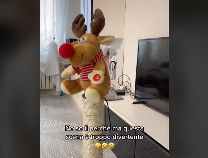 YouTube紅人數(shù)據(jù)