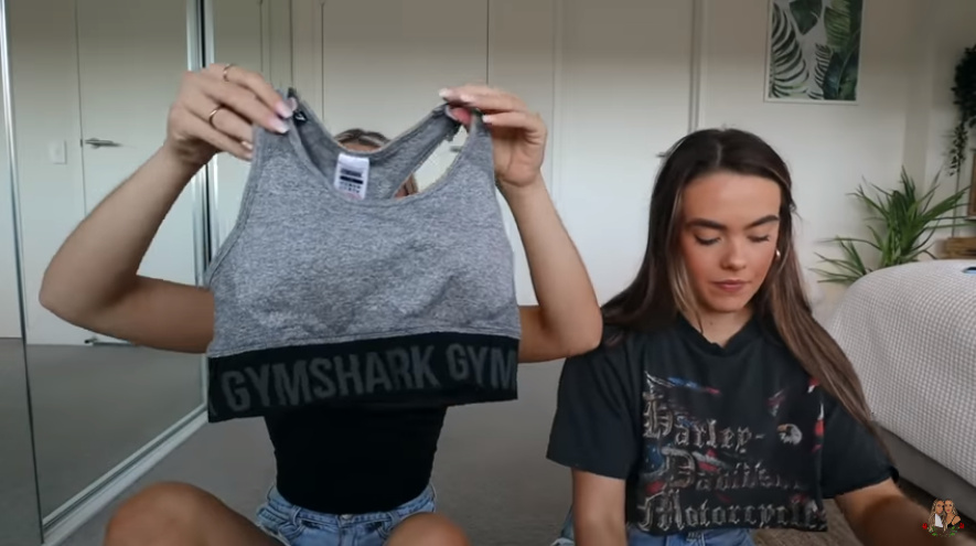 YouTube紅人數(shù)據(jù)