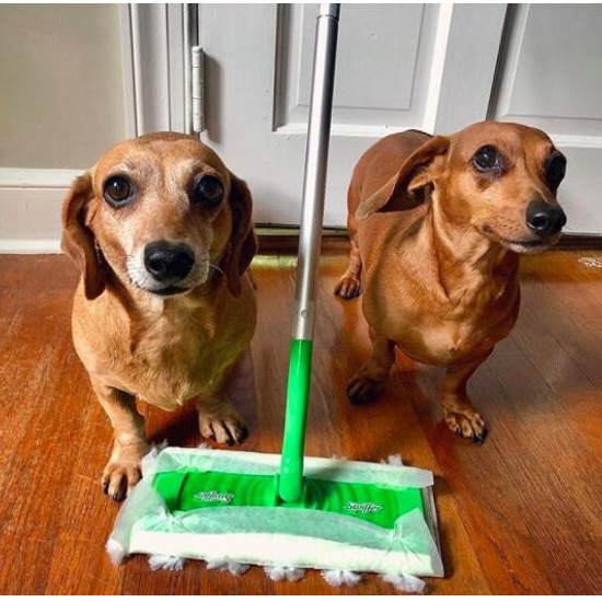 Instagram網(wǎng)紅營銷