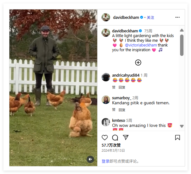 國產(chǎn)品牌"7日銷量破萬"，全球家居園藝市場還暗藏什么機遇？