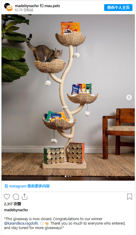 如何辨別ins網(wǎng)紅粉絲真假