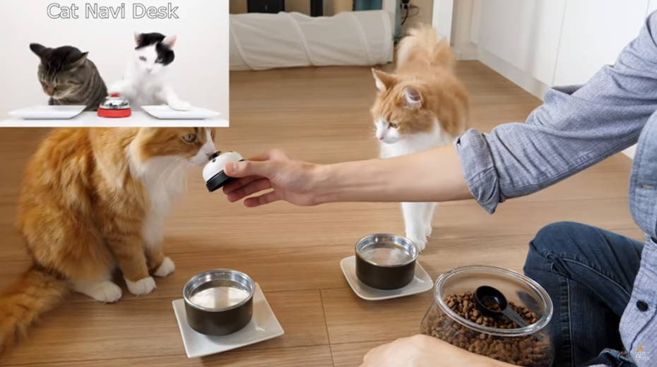 視頻內(nèi)容策劃