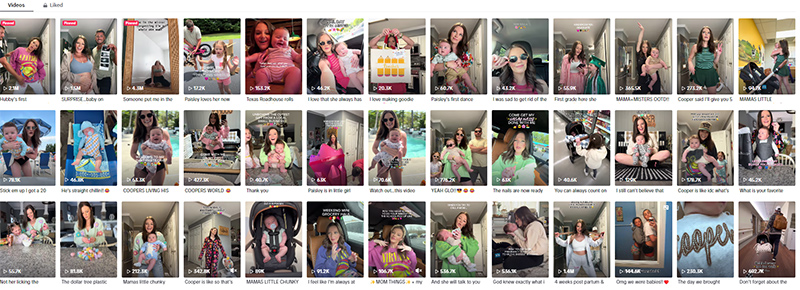 美國(guó)泛家庭類(lèi)網(wǎng)紅